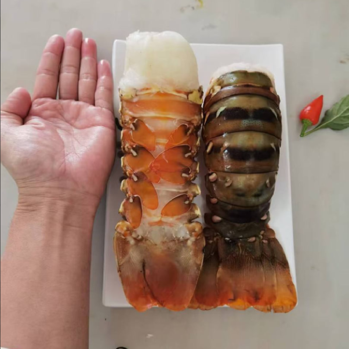 Great value lobster tails! Only 100 servings per day.