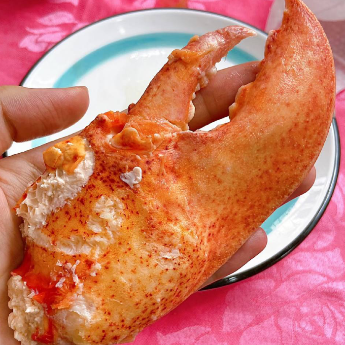 LIMITED EDITION: Giant Deep-Sea Lobster Pincers 🔥 Hurry up!