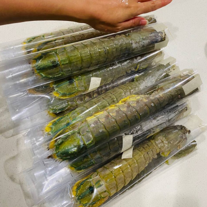 Fresh Mantis Shrimp (Xia Ba / 虾婆) – Wild Caught, Large Size