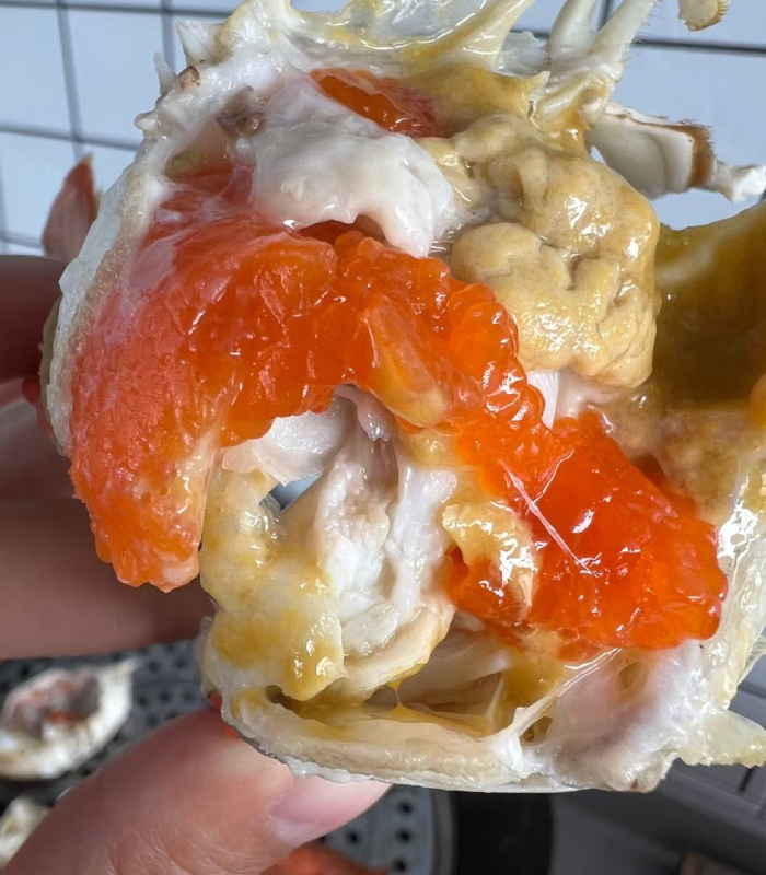 Superior Jumbo Swimming Crab: Bursting with Rich, Creamy Roe and Tomalley